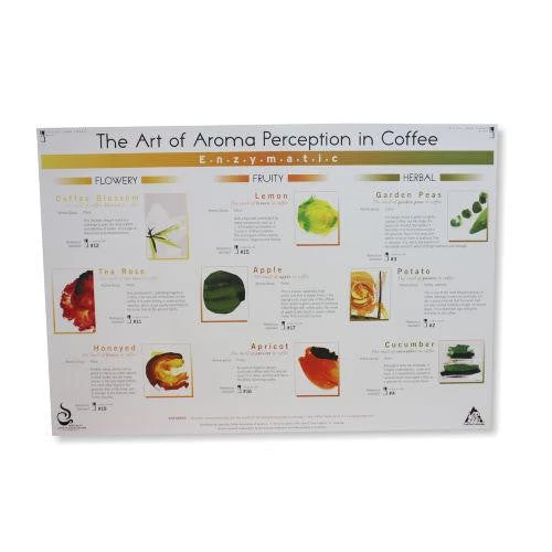 Art Of Aroma Set Of 4 Posters SCAA 4 Art Of Aroma Set Of 4 Posters SCAA
