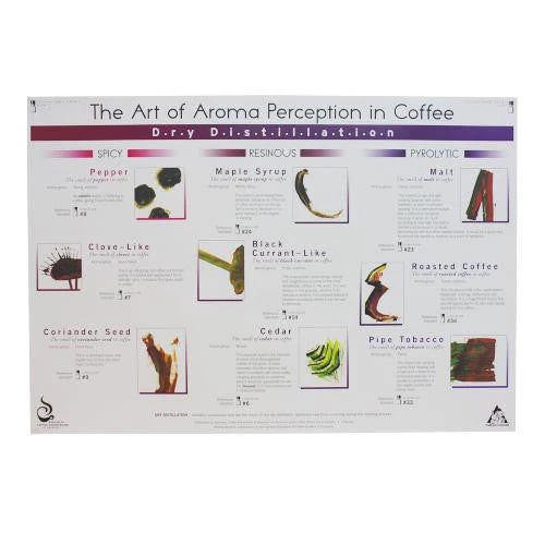 Art Of Aroma Set Of 4 Posters SCAA 7 Art Of Aroma Set Of 4 Posters SCAA