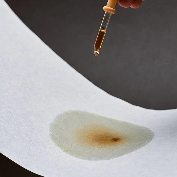 Alternative Brewing Sibarist Fast Specialty Coffee Filters 6 Alternative Brewing Sibarist Fast Specialty Coffee Filters